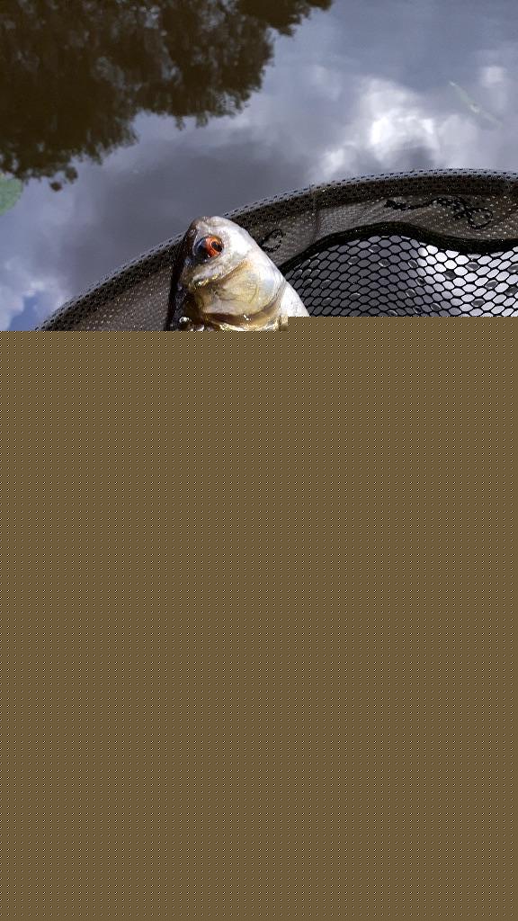 Fishing in Stoke On Trent