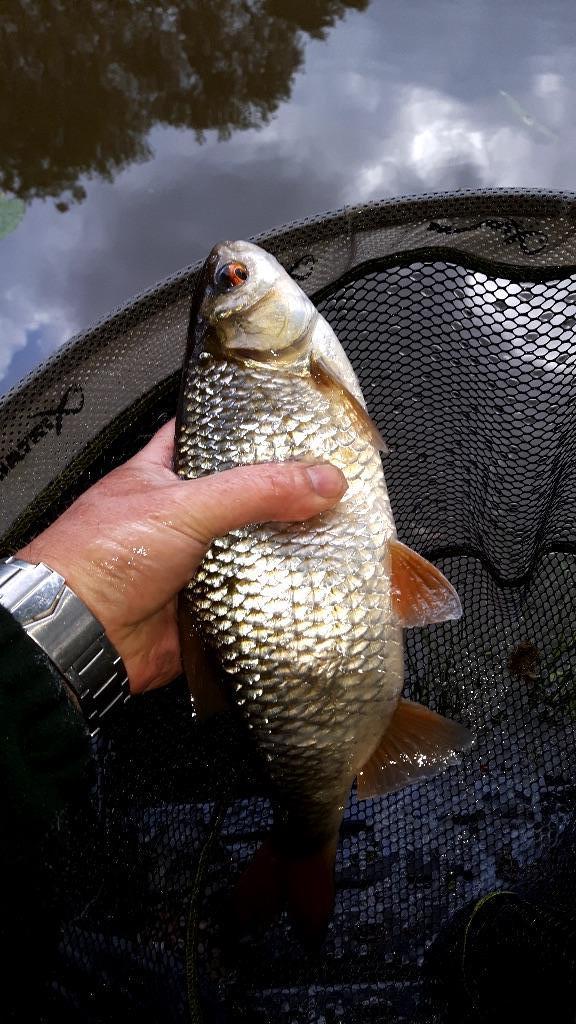 Fishing in Stoke On Trent