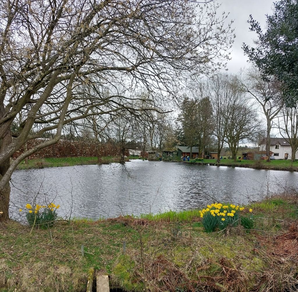 Woore fruit farm small pool.  Fishing Waters in Stoke On Trent and Staffordshire